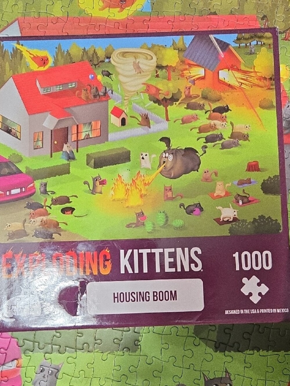 Exploding Kittens 1000-Piece Puzzle